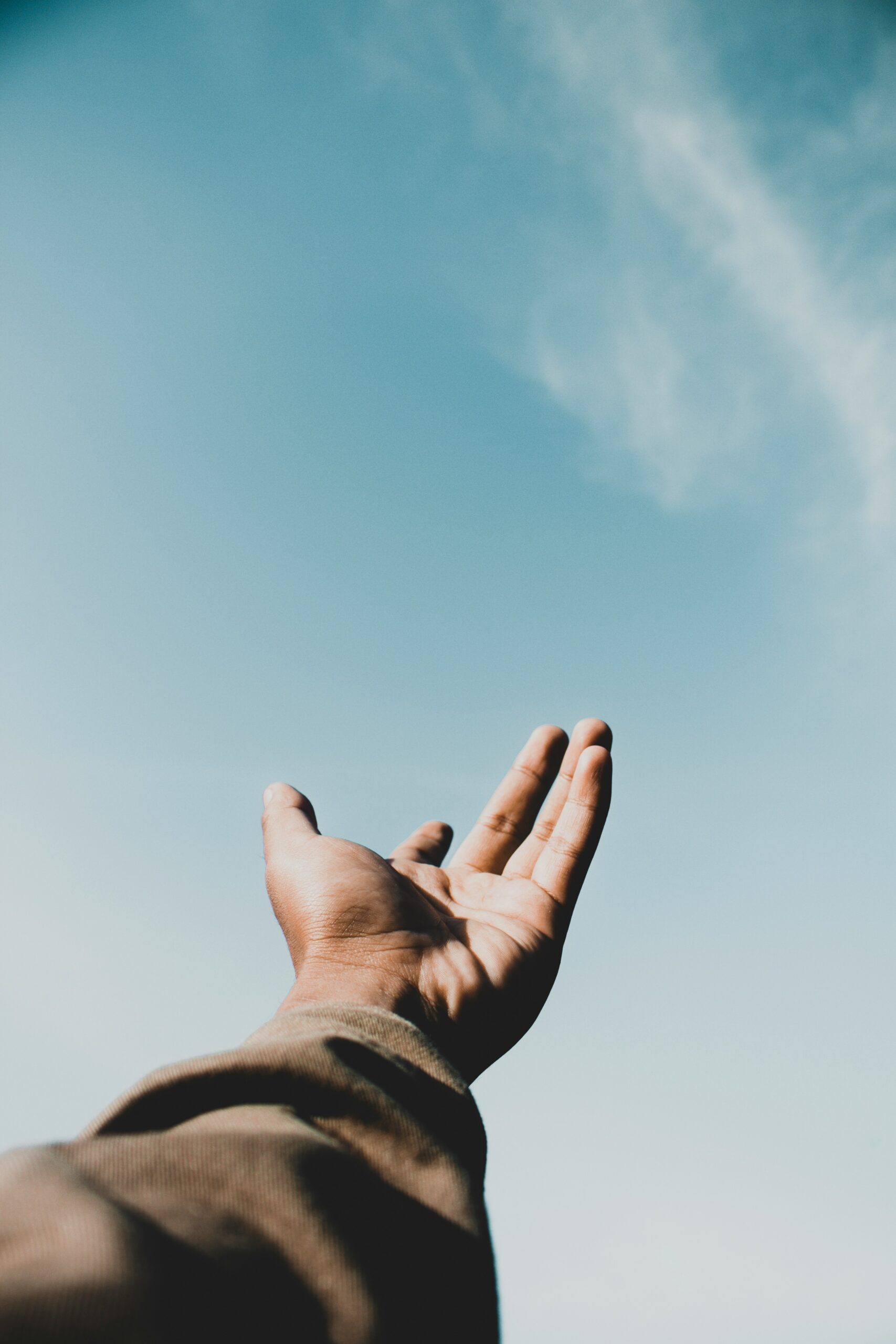 Mehr über den Artikel erfahren The Art of Drawing Readers In: Your attractive post title goes here